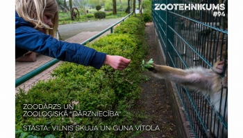 Zoodārzs un zooloģiskā "dārzniecība". Sarunas ar Gunu Vītolu un Vilni Skuju