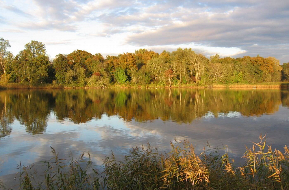 Artūrs Jakobsons Carnikava gauja rudens