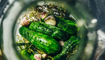 Fermentēšana: speciāliste iesaka sākt ar vienkāršo - ieskābēt gurķus