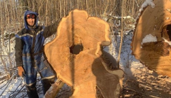 Валентин Романовский: Мое дело - быть ближе к природе