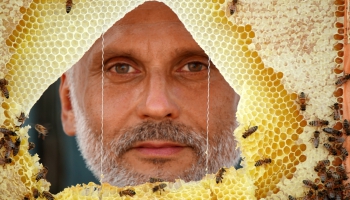 Urbānais biškopis Uģis Mālnieks 