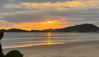 CFMB#400 - Ziema Skan