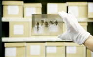Fotogrāfijas muzejs: greznie foni fotosalonos, leģendārā aparāta "Minox" rasējumi
