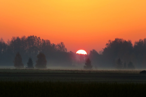 Svētrīts. Studijā mācītājs Elmārs Pļaviņš