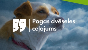 Zanda Radziņa "Pogas dvēseles ceļojums". 2.daļa